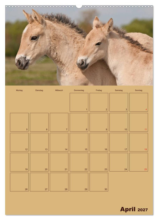 Pferde Gute Freunde (CALVENDO Wandkalender 2027)