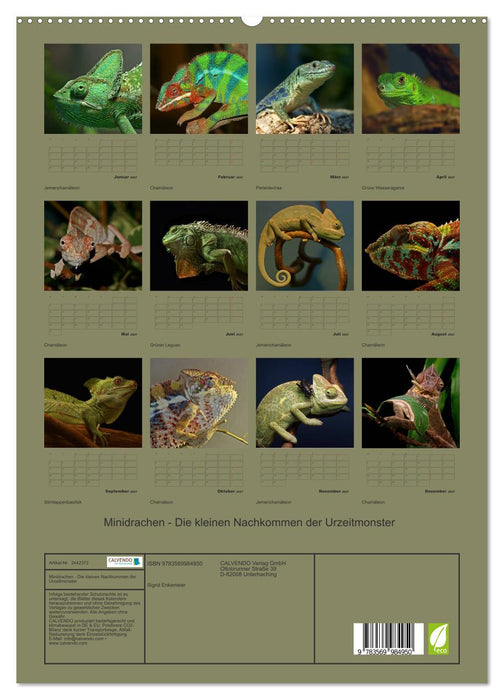 Minidrachen - Die kleinen Nachkommen der Urzeitmonster (CALVENDO Premium Wandkalender 2027)