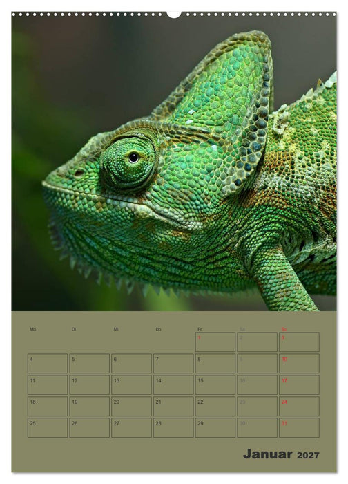 Minidrachen - Die kleinen Nachkommen der Urzeitmonster (CALVENDO Premium Wandkalender 2027)