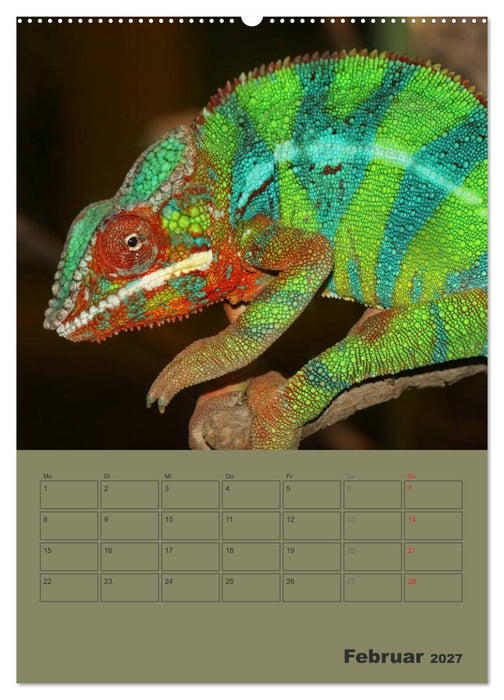 Minidrachen - Die kleinen Nachkommen der Urzeitmonster (CALVENDO Premium Wandkalender 2027)