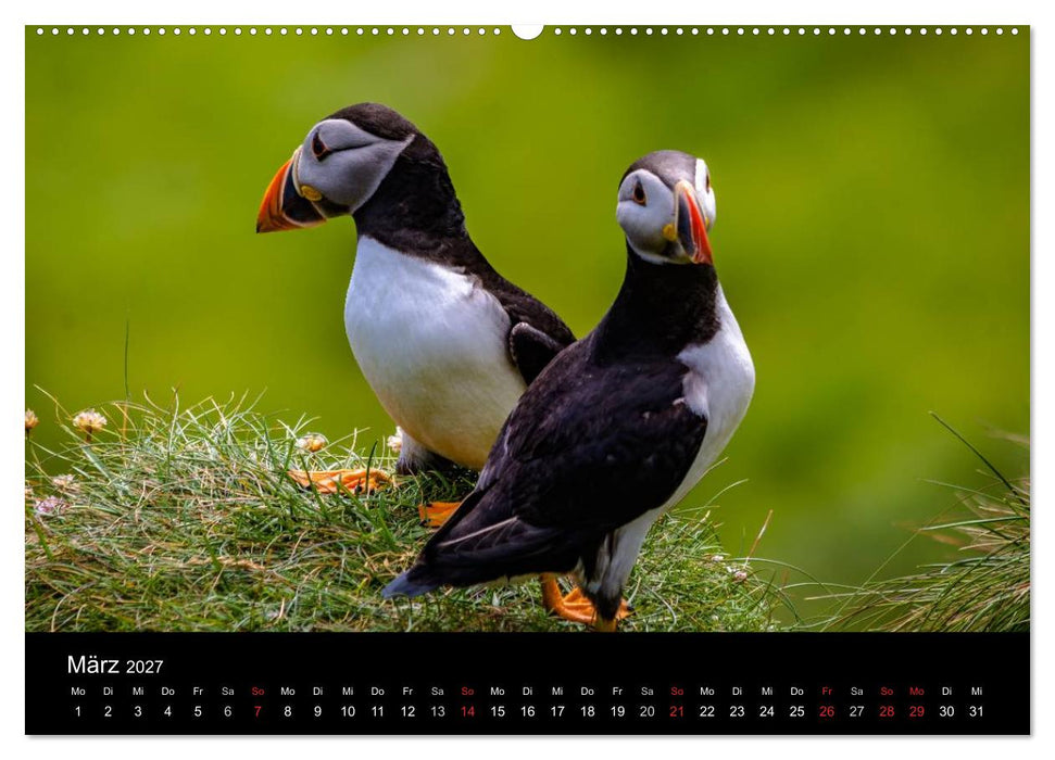 Schottlands Inseln (CALVENDO Premium Wandkalender 2027)