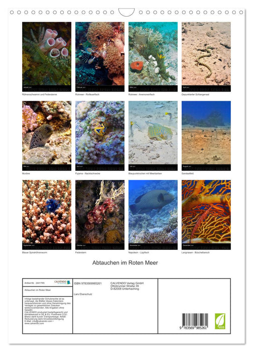 Abtauchen im Roten Meer (CALVENDO Wandkalender 2027)
