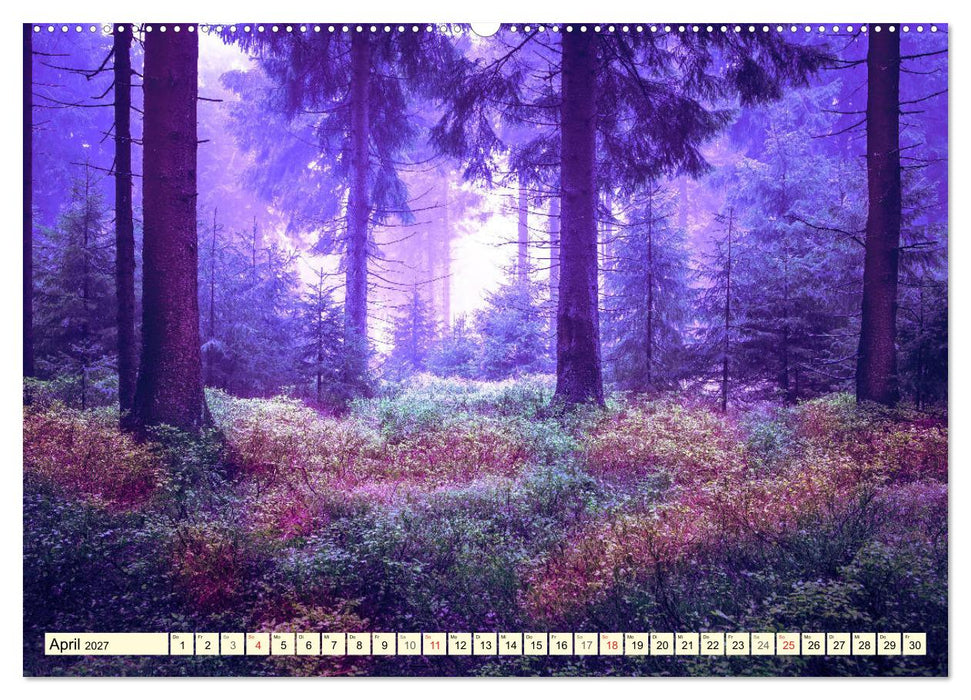 Mystische Wälder - Zauber der Natur (CALVENDO Premium Wandkalender 2027)