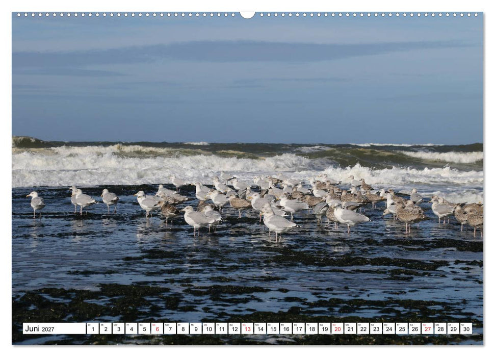 Callantsoog (CALVENDO Wandkalender 2027)