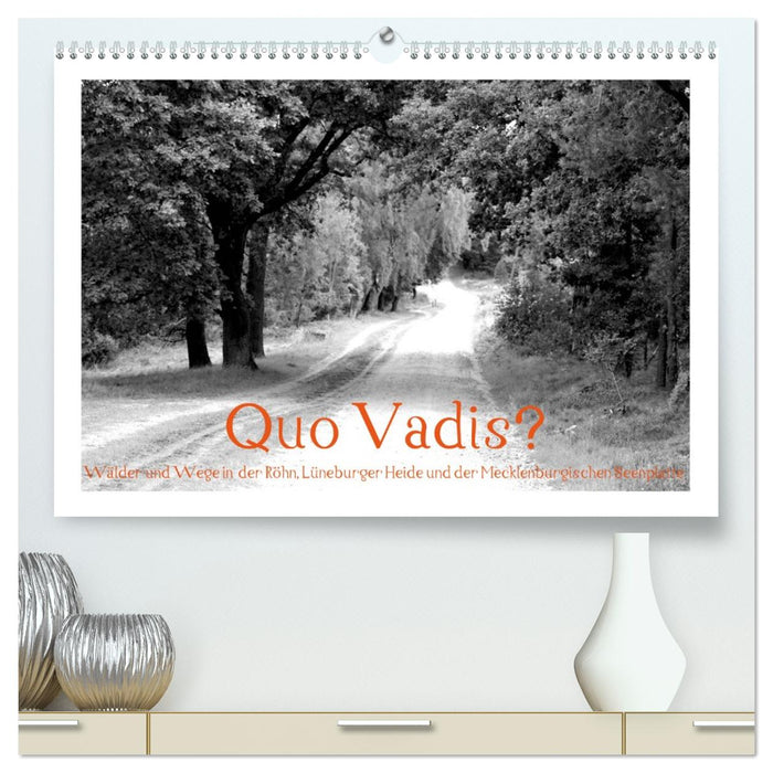 Quo Vadis? Wälder und Wege in der Röhn, Lüneburger Heide und der Mecklenburgischen Seenplatte (CALVENDO Premium Wandkalender 2027)