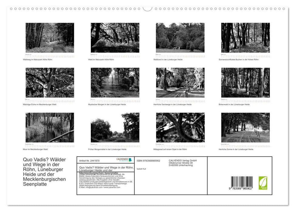 Quo Vadis? Wälder und Wege in der Röhn, Lüneburger Heide und der Mecklenburgischen Seenplatte (CALVENDO Premium Wandkalender 2027)