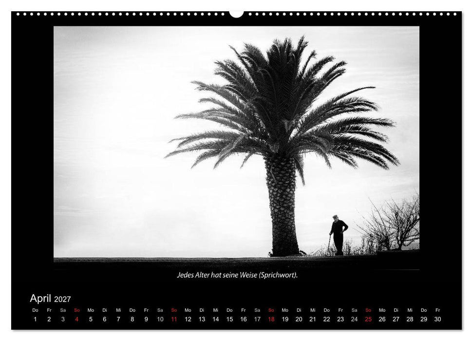 Schwarz-Weis(s)heiten (CALVENDO Wandkalender 2027)