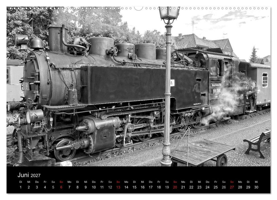Ein Jahr mit der Schmalspurbahn aus Zittau (CALVENDO Wandkalender 2027)