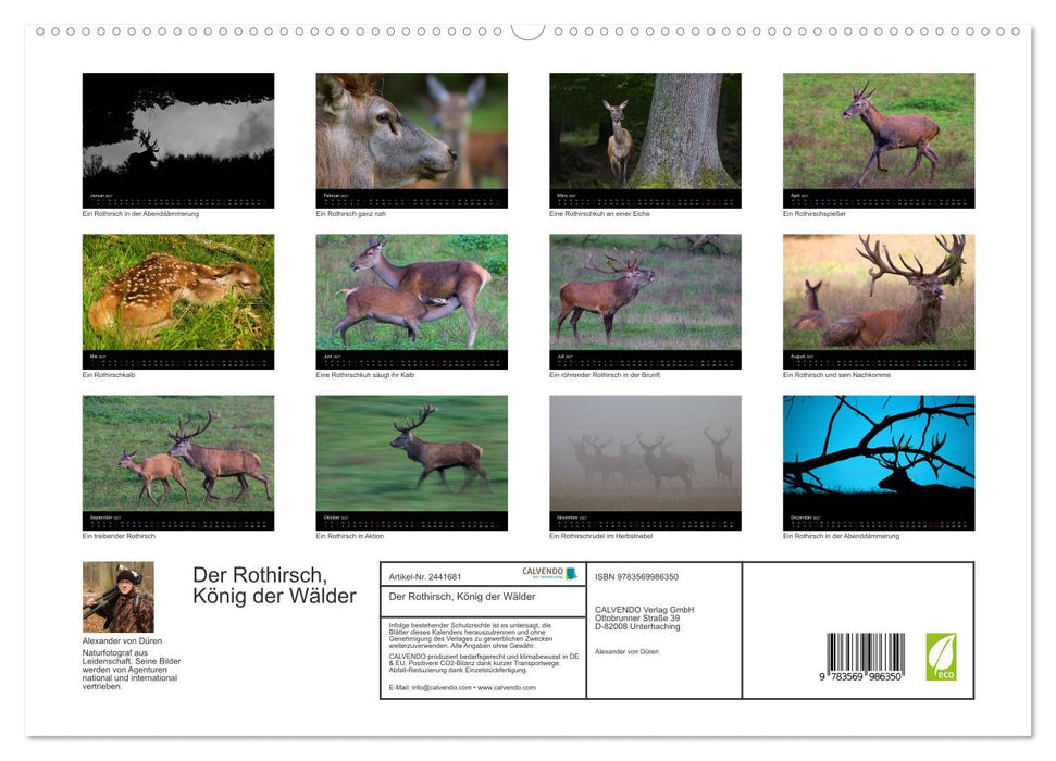 Der Rothirsch, König der Wälder (CALVENDO Premium Wandkalender 2027)