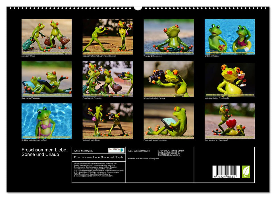 Froschsommer. Liebe, Sonne und Urlaub (CALVENDO Premium Wandkalender 2027)