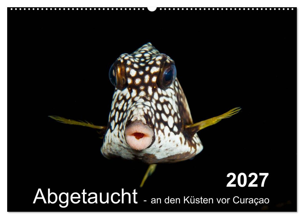 Abgetaucht - an den Küsten vor Curaçao (CALVENDO Wandkalender 2027)