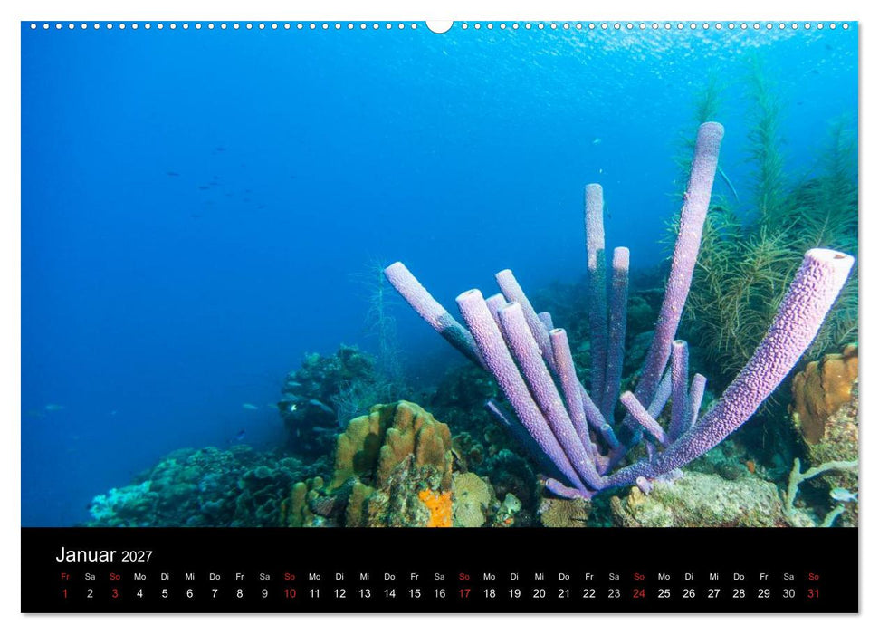 Abgetaucht - an den Küsten vor Curaçao (CALVENDO Wandkalender 2027)