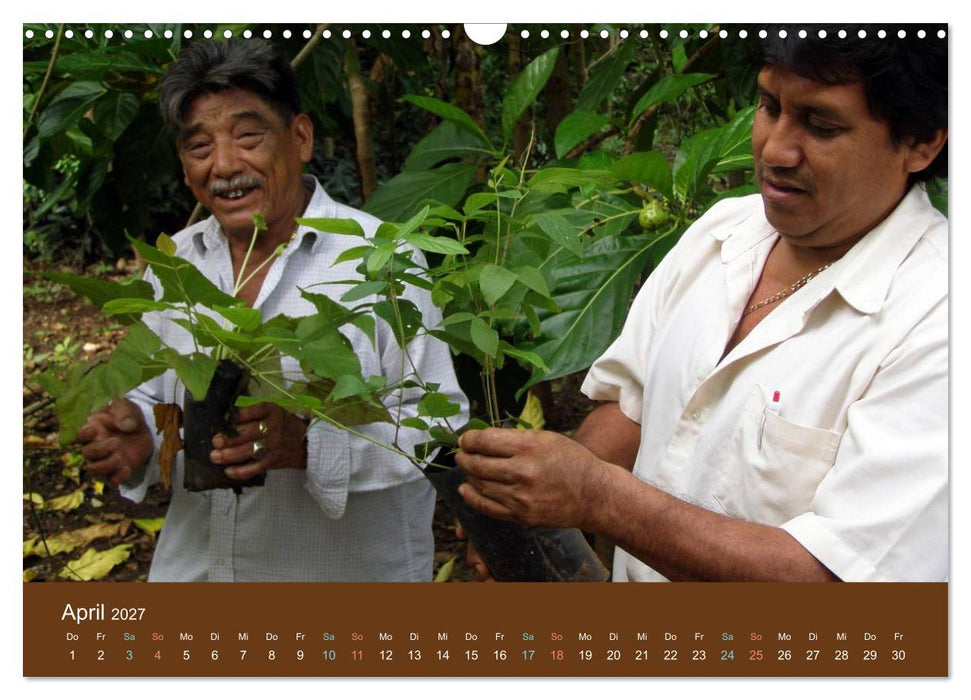 Maya in Yukatan 2027 (CALVENDO Wandkalender 2027)