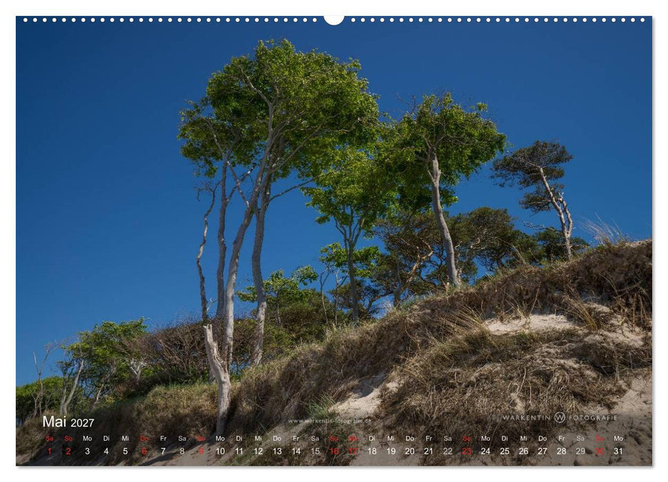 Prerows Wilder Westen (CALVENDO Wandkalender 2027)
