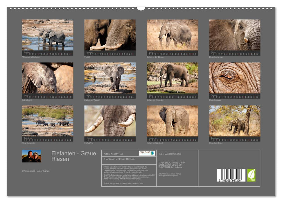Elefanten - Graue Riesen (CALVENDO Premium Wandkalender 2027)