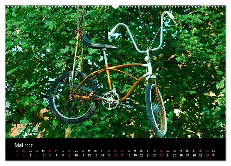 Mit dem Fahrrad durch 2027 (CALVENDO Wandkalender 2027)