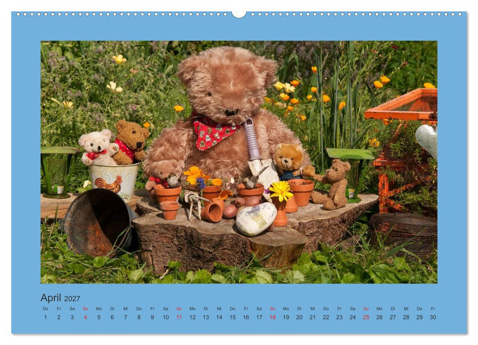 Teddys Meine Freunde (CALVENDO Premium Wandkalender 2027)