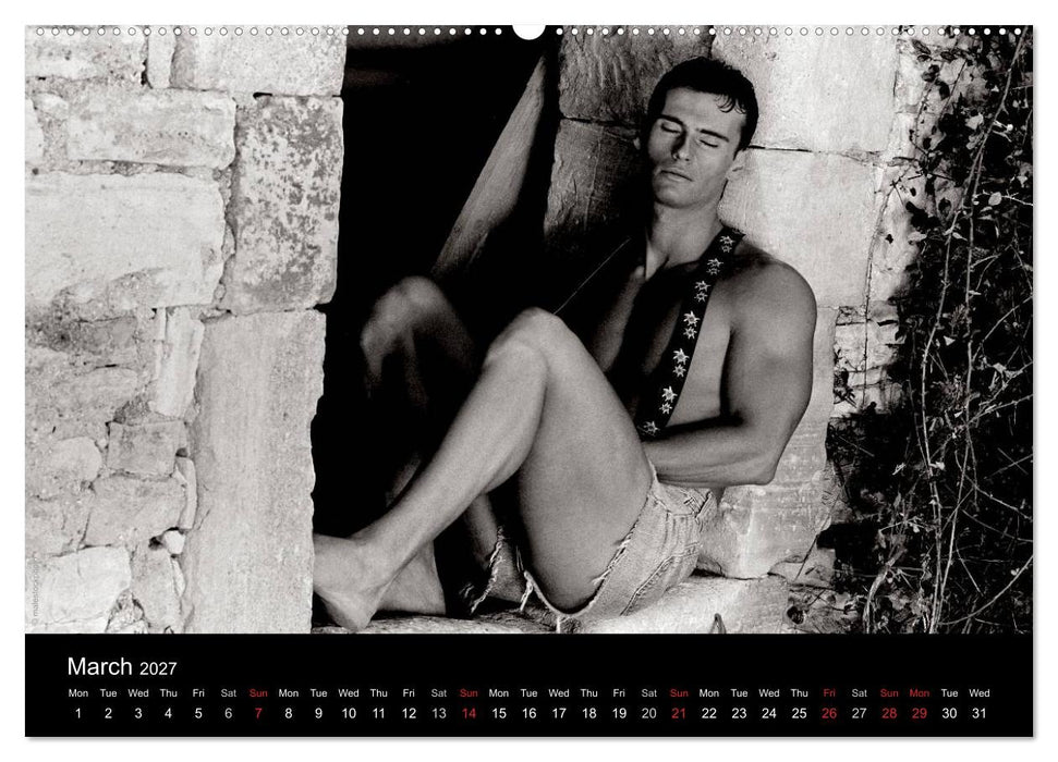 Dreaming Hunks 2027 (CALVENDO Premium-Calendar 2027)