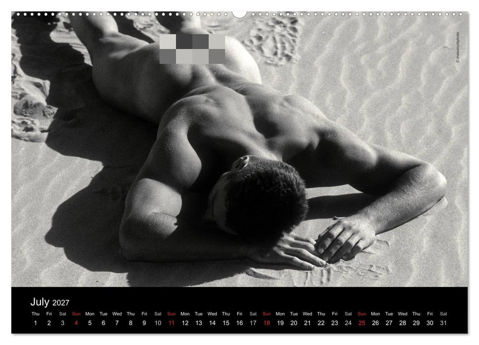 Dreaming Hunks 2027 (CALVENDO Premium-Calendar 2027)