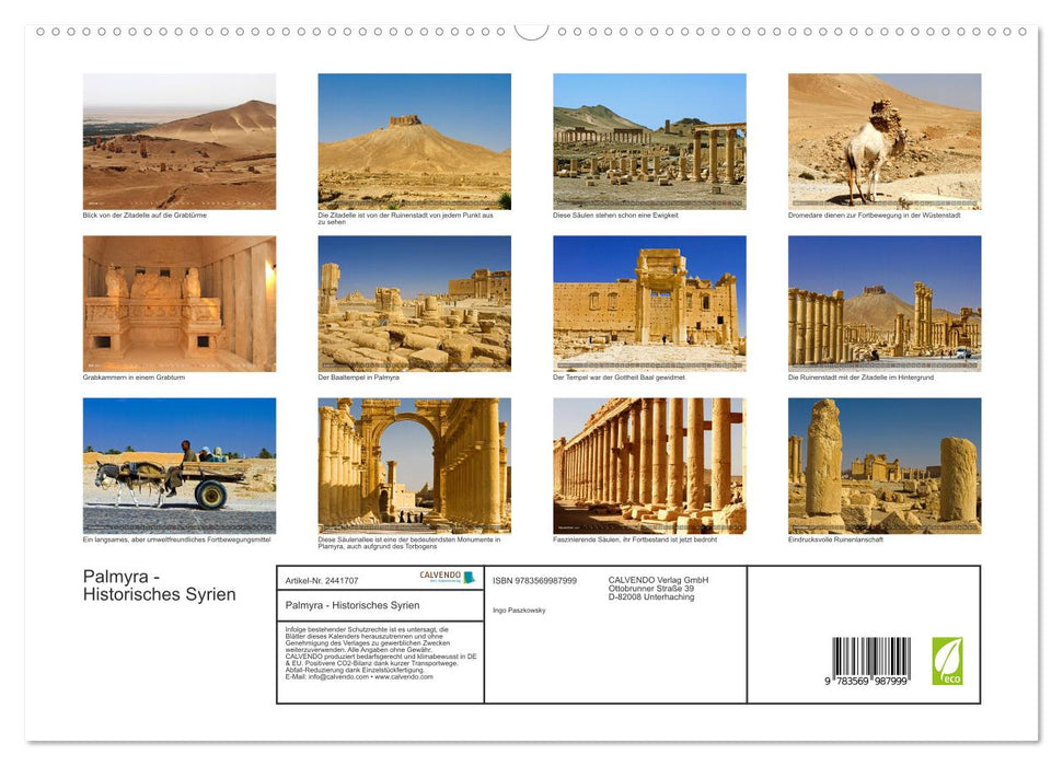 Palmyra - Historisches Syrien (CALVENDO Premium Wandkalender 2027)