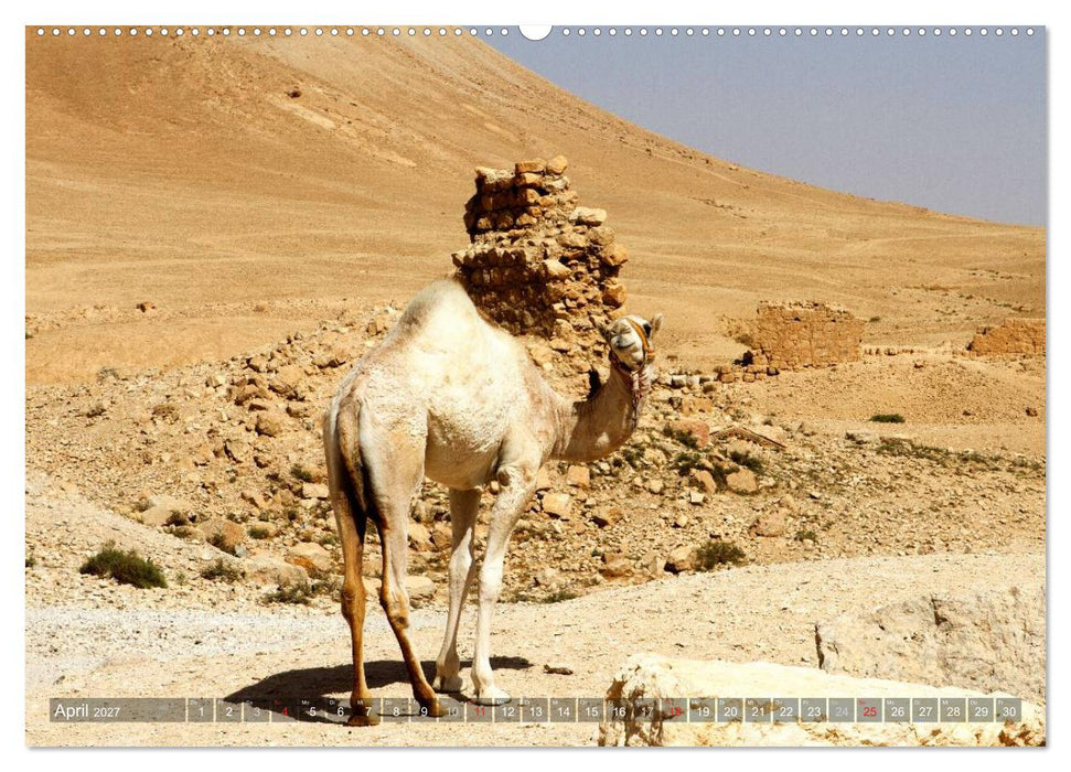 Palmyra - Historisches Syrien (CALVENDO Premium Wandkalender 2027)