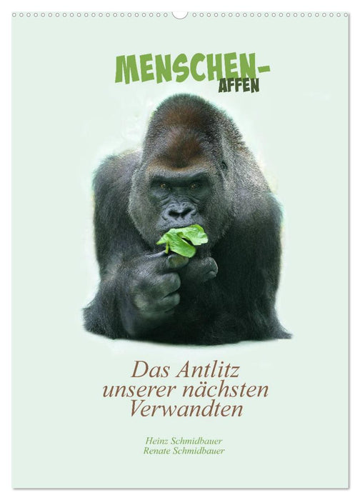 Menschenaffen - Das Antlitz unserer nächsten Verwandten (CALVENDO Wandkalender 2027)