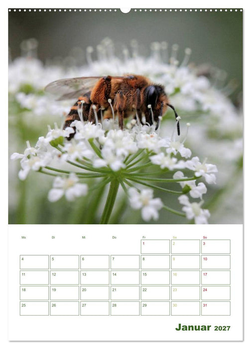 Bienen-Terminplaner 2027 (CALVENDO Premium Wandkalender 2027)