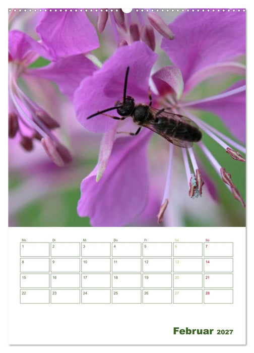 Bienen-Terminplaner 2027 (CALVENDO Premium Wandkalender 2027)