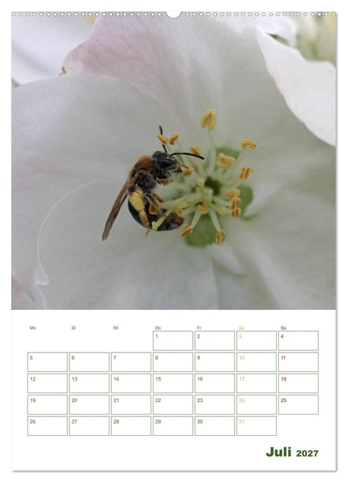Bienen-Terminplaner 2027 (CALVENDO Premium Wandkalender 2027)