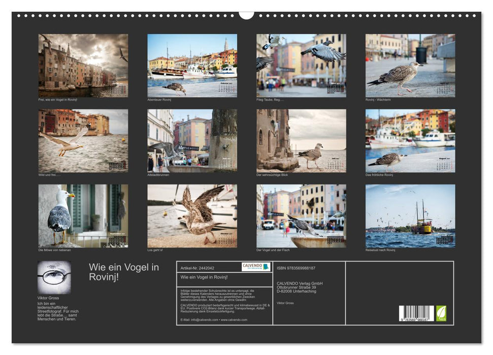 Wie ein Vogel in Rovinj! (CALVENDO Wandkalender 2027)