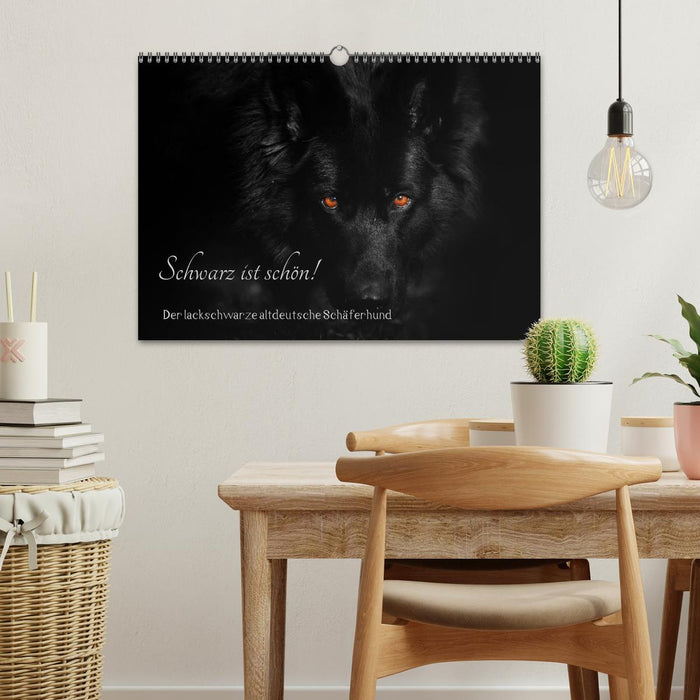 Schwarz ist schön! Der lackschwarze altdeutsche Schäferhund (CALVENDO Wandkalender 2027)