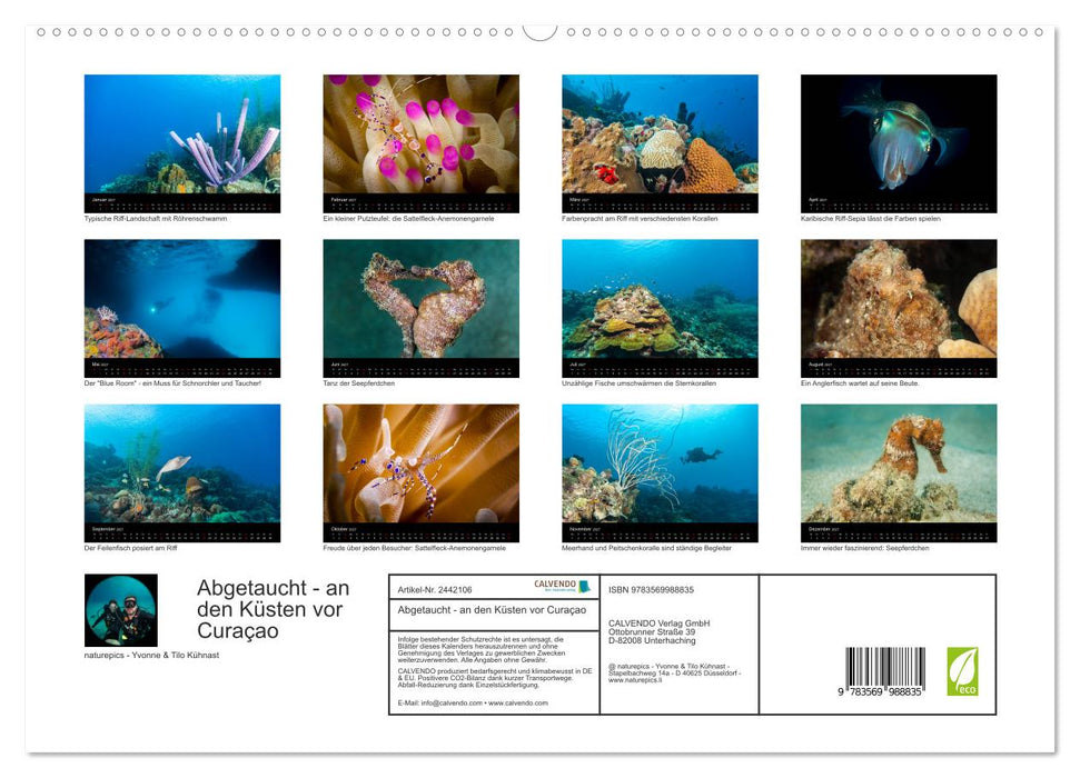Abgetaucht - an den Küsten vor Curaçao (CALVENDO Premium Wandkalender 2027)
