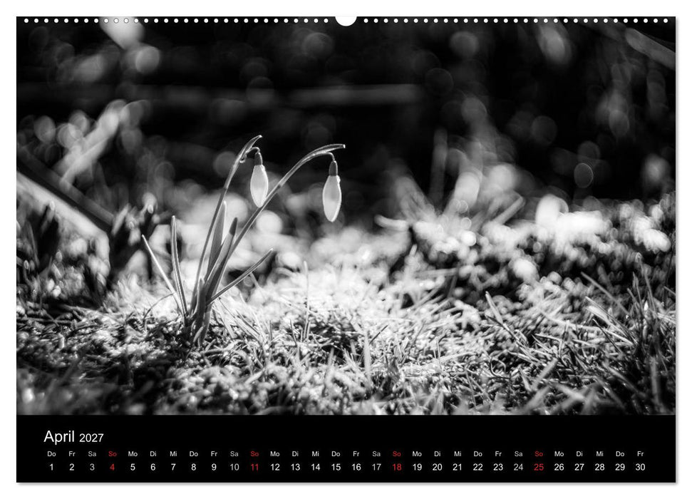 Monochrom 2027 (CALVENDO Premium Wandkalender 2027)