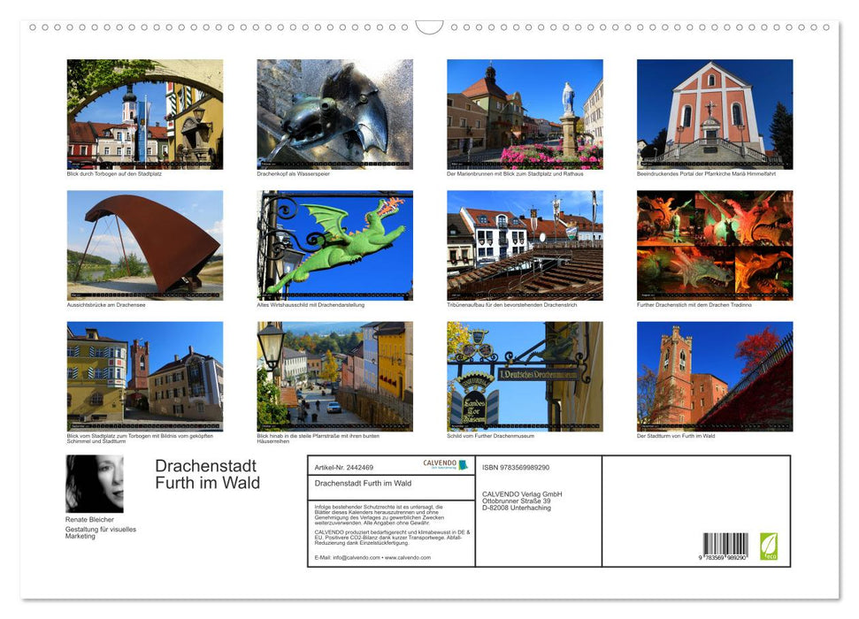 Drachenstadt Furth im Wald (CALVENDO Wandkalender 2027)