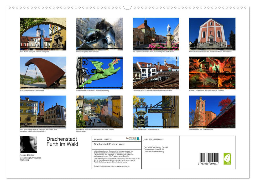 Drachenstadt Furth im Wald (CALVENDO Premium Wandkalender 2027)