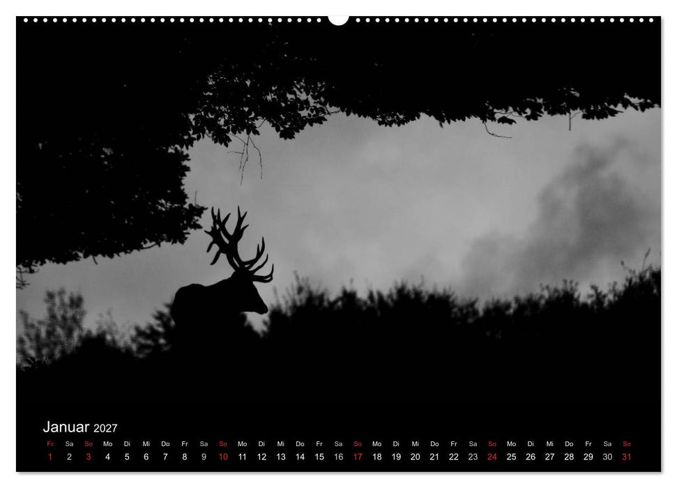 Der Rothirsch, König der Wälder (CALVENDO Wandkalender 2027)