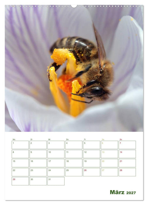 Bienen-Terminplaner 2027 (CALVENDO Wandkalender 2027)