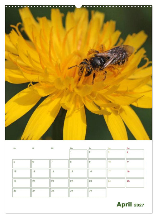 Bienen-Terminplaner 2027 (CALVENDO Wandkalender 2027)