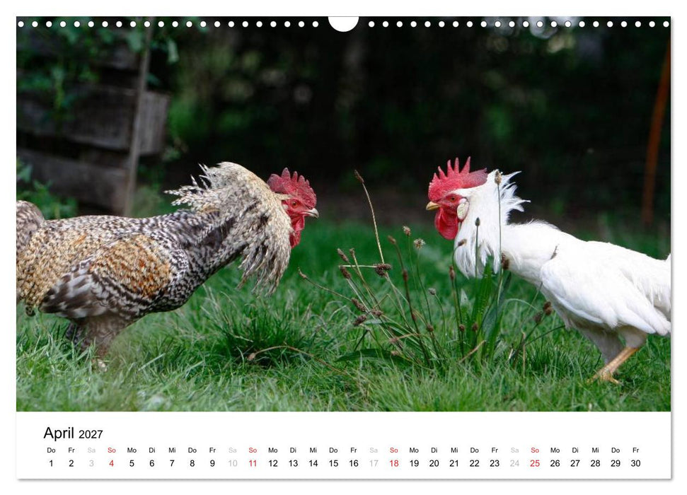 Bunte Welt des Bauernhofs (CALVENDO Wandkalender 2027)