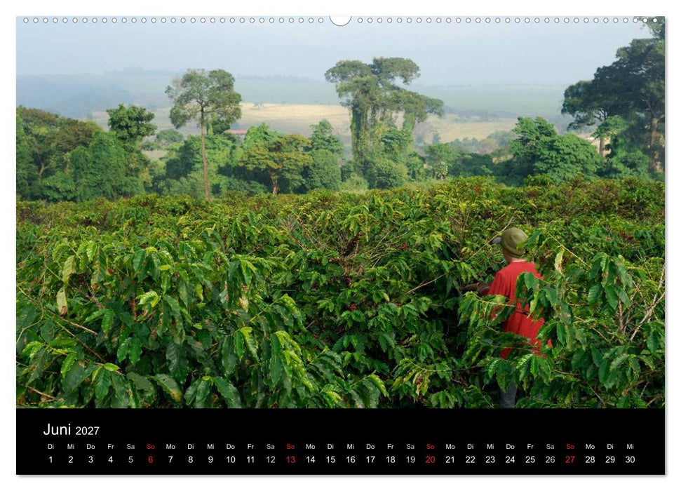 Zu Besuch beim Kaffee (CALVENDO Premium Wandkalender 2027)