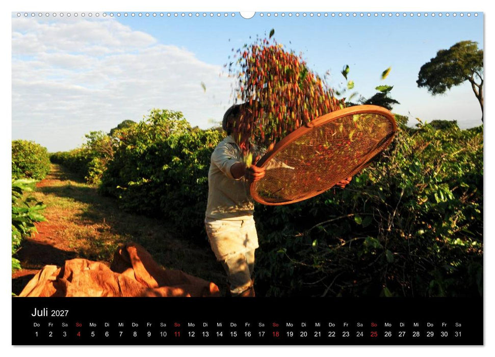 Zu Besuch beim Kaffee (CALVENDO Premium Wandkalender 2027)