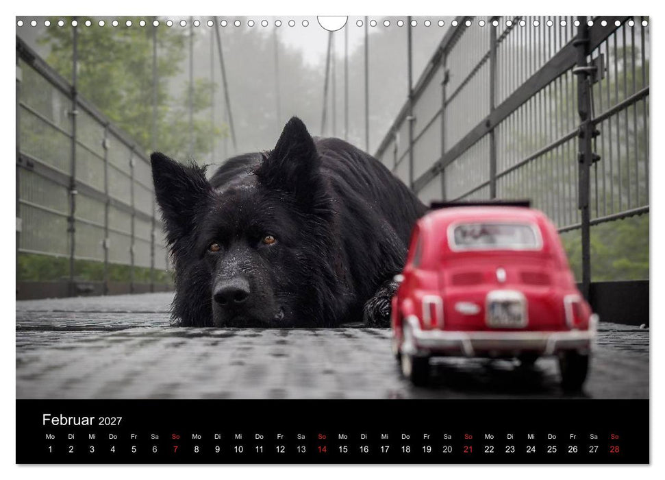 Mit der Knutschkugel auf Reisen (CALVENDO Wandkalender 2027)