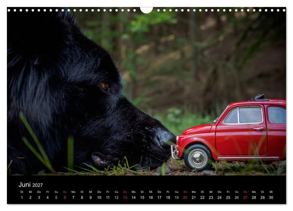 Mit der Knutschkugel auf Reisen (CALVENDO Wandkalender 2027)