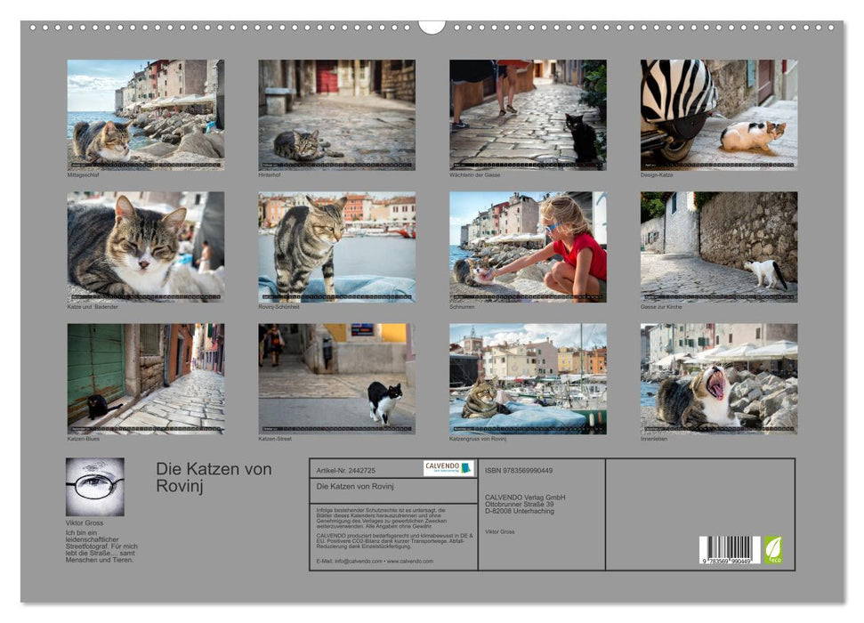 Die Katzen von Rovinj (CALVENDO Wandkalender 2027)
