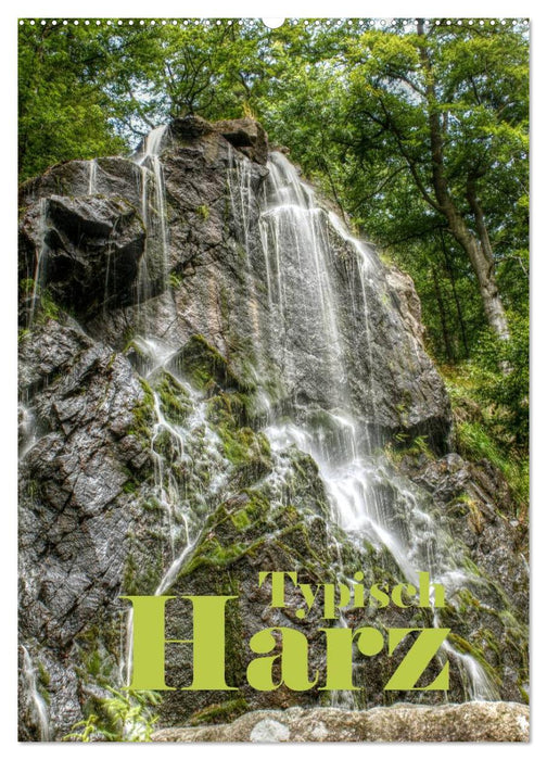 Typisch Harz (CALVENDO Wandkalender 2027)