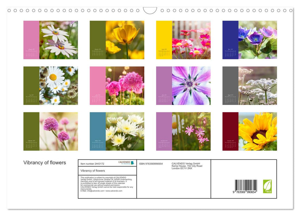 Vibrancy of flowers (CALVENDO Monthly Calendar 2027)