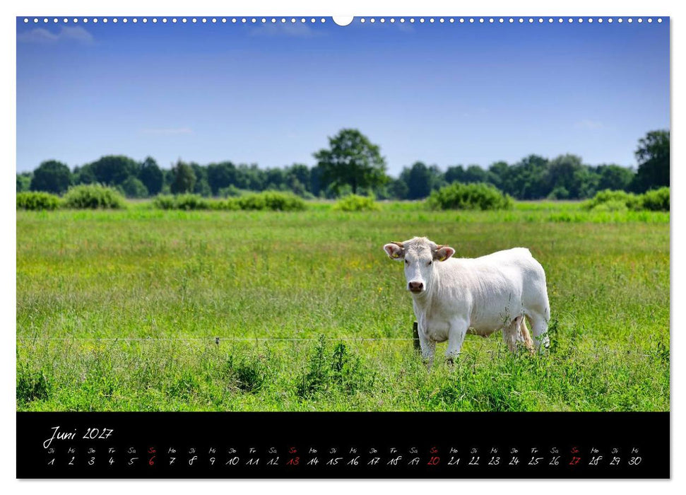 Vier- und Marschlande Hamburgs grüner Südosten (CALVENDO Premium Wandkalender 2027)
