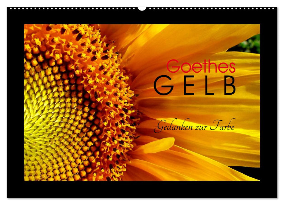 Goethes Gelb Gedanken zur Farbe (CALVENDO Wandkalender 2027)