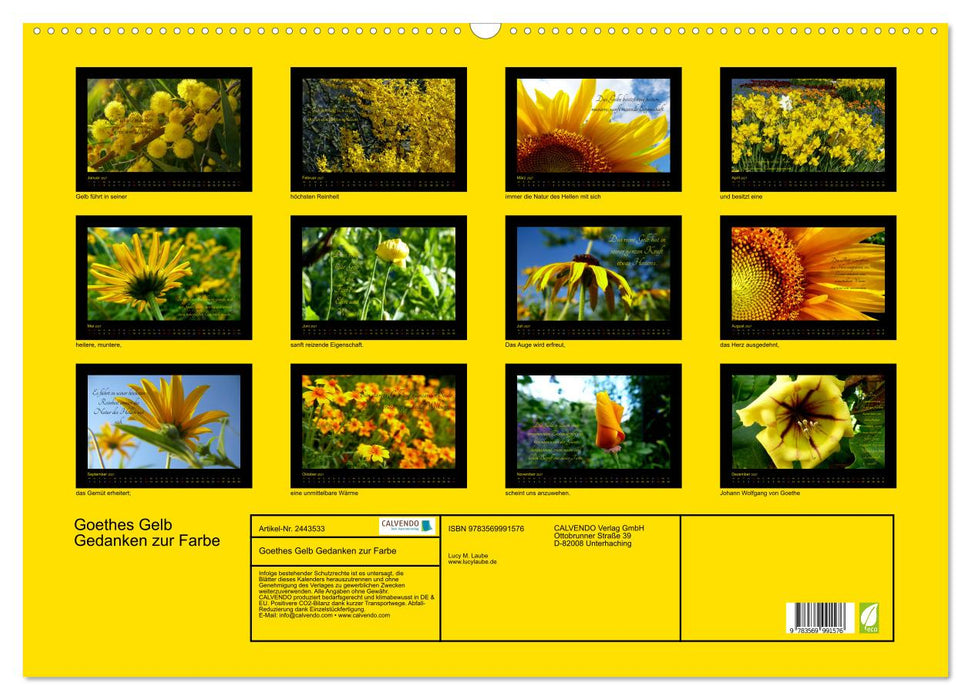 Goethes Gelb Gedanken zur Farbe (CALVENDO Wandkalender 2027)
