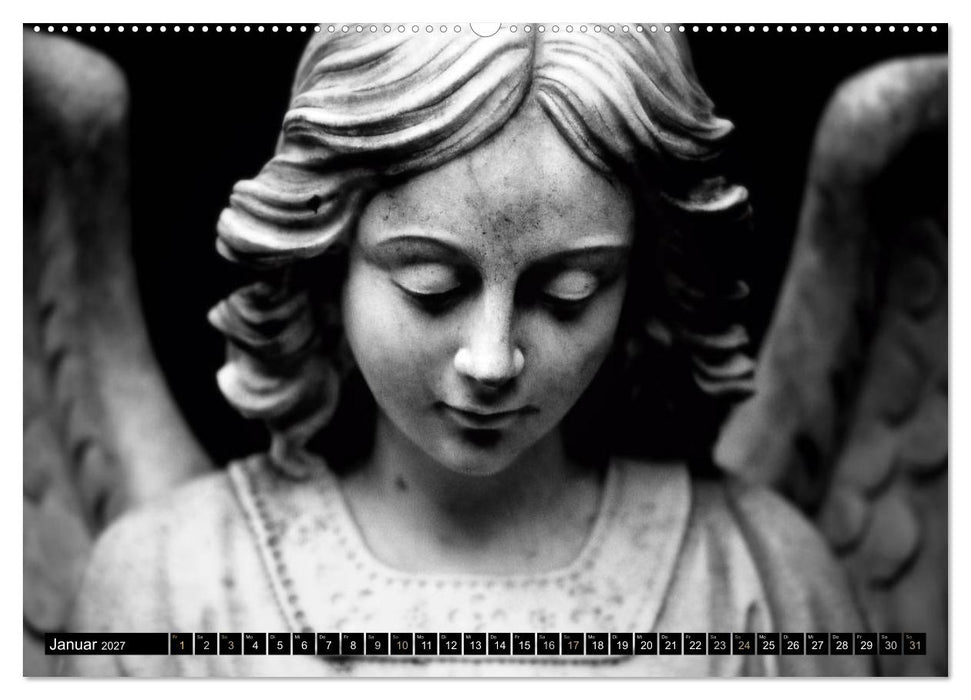 Engel-Träume (CALVENDO Premium Wandkalender 2027)